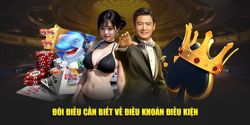 Đôi điều cần biết về điều khoản điều kiện 