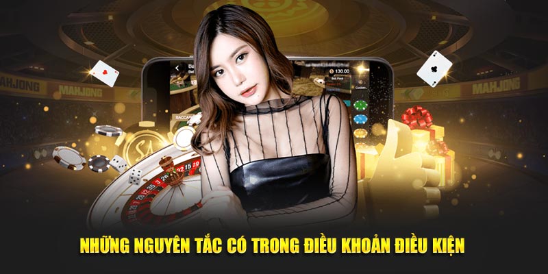 Những nguyên tắc có trong điều khoản điều kiện 