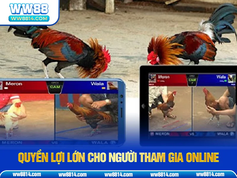 Quyền lợi lớn cho người tham gia online