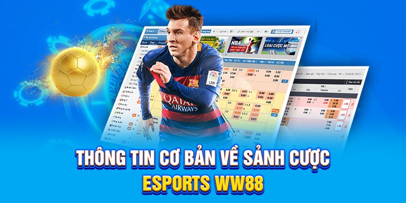 Thông tin cơ bản về sảnh Esports WW88